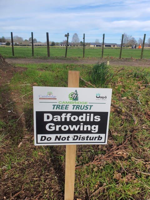 D24 Daffs sign Aug '21.jpg