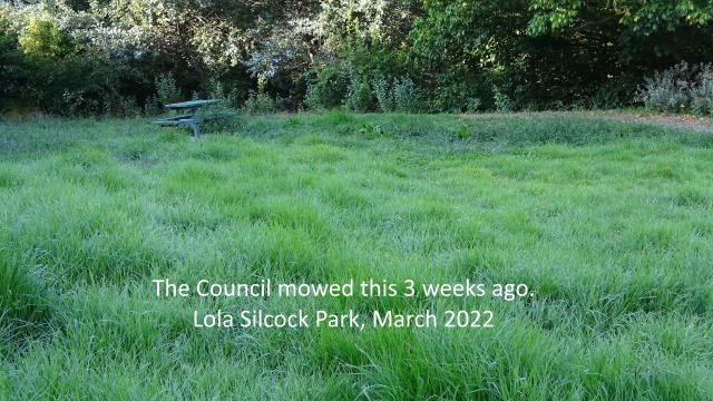 Lola Silcock Park March 22